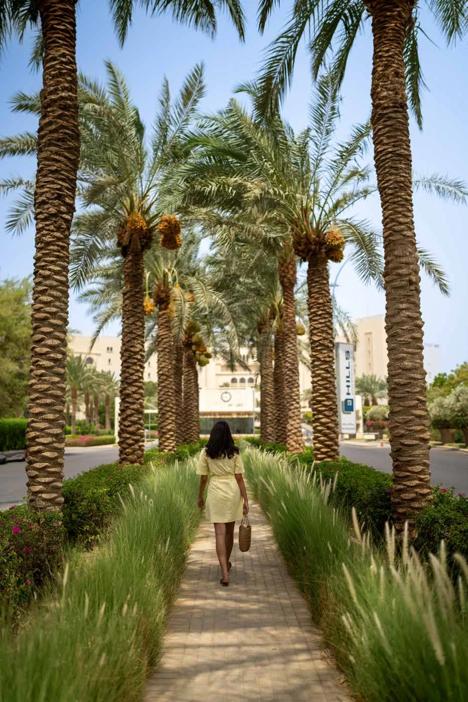 Journey through the palms