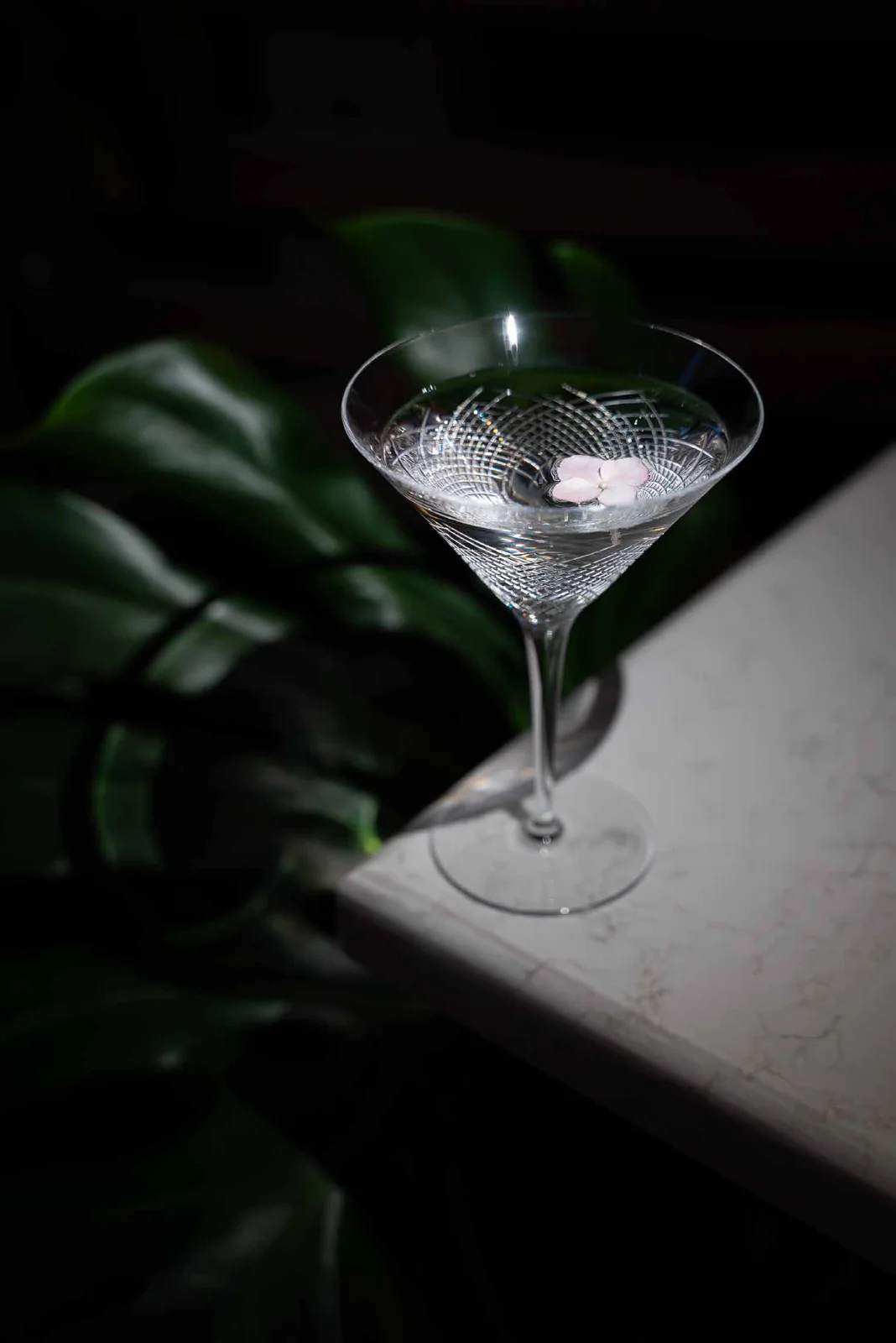 Cocktail still life